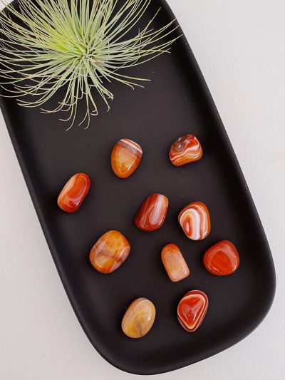 Carnelian with Stripe Tumbled Stone - Crystal Empire Australia