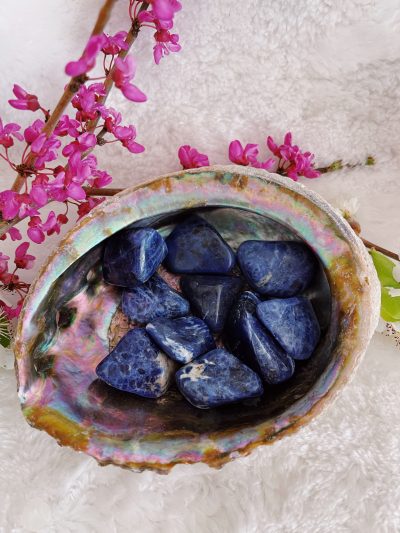 Sodalite Tumbled Stone - Crystal Empire Australia