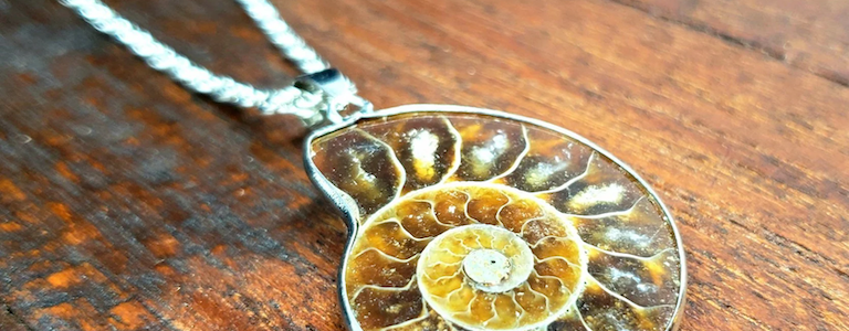 Ammonite fossil jewellery