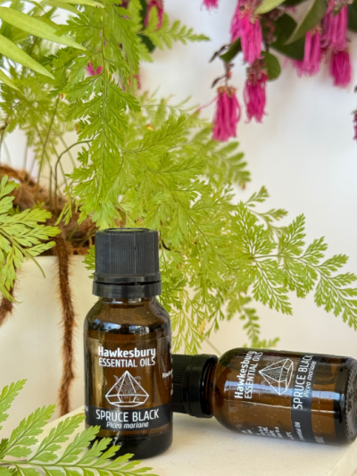 Spruce Black 100% pure Essential Oil Blend 15ml